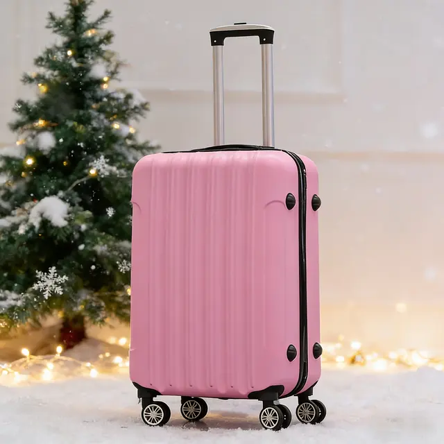 Valise 20 pouces : inclure les règles du billet